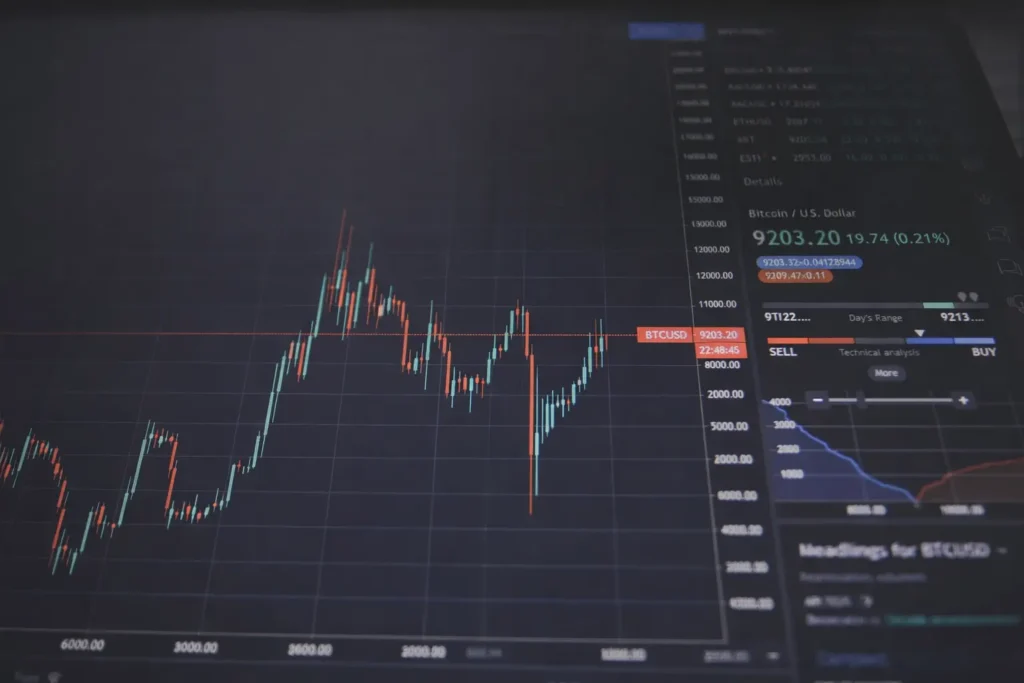Bitcoin price chart in focus